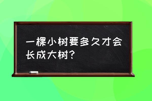 怎样做一棵小树 一棵小树要多久才会长成大树？