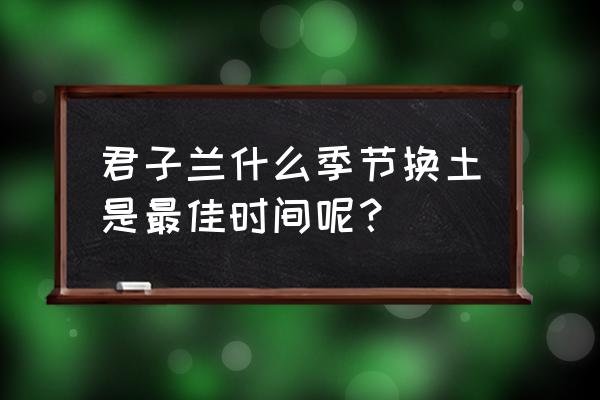 君子兰的种植时间和方法 君子兰什么季节换土是最佳时间呢？